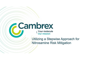 Utilizing A Stepwise Approach For Nitrosamine Risk Mitigation