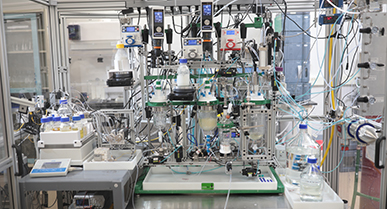 Liquid Phase Peptide Synthesis