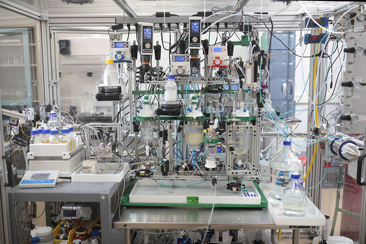 liquid phase peptide synthesis