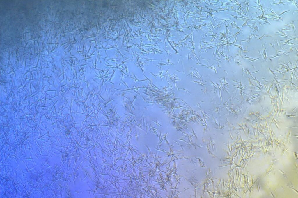 Peptide Plate